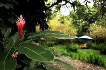 Casa Comalli & Spa Comala Buitenkant foto